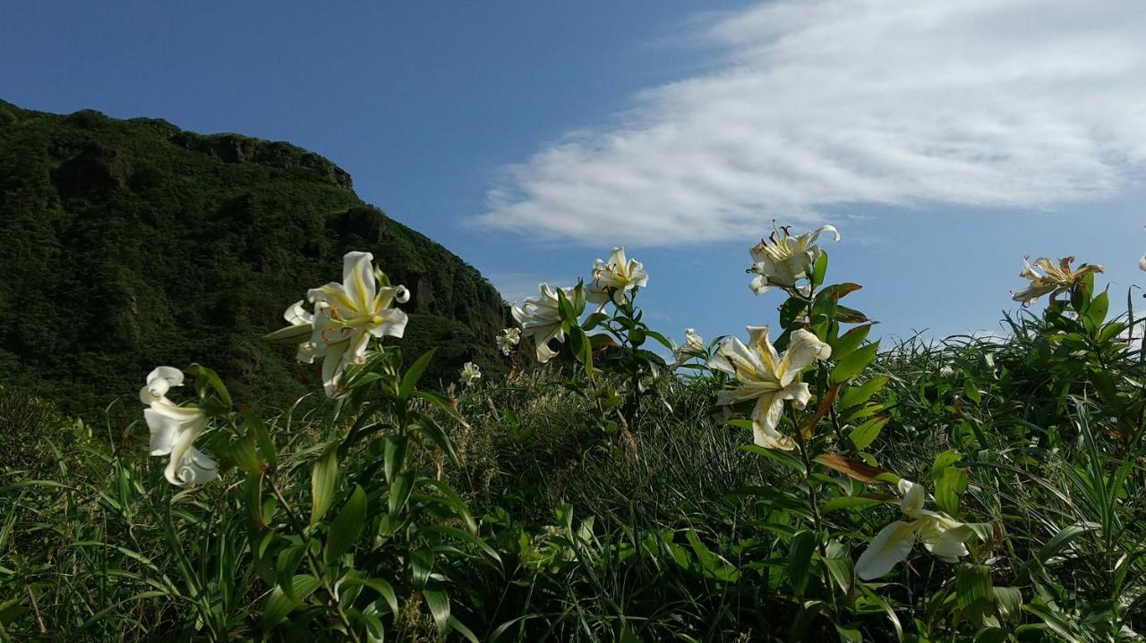 築100年の宿【はぶの家】 大島 エクステリア 写真