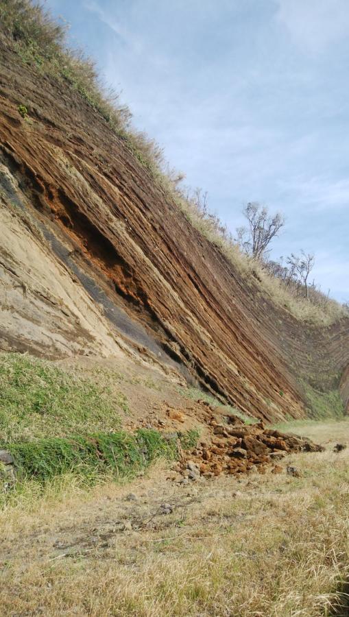 築100年の宿【はぶの家】 大島 エクステリア 写真